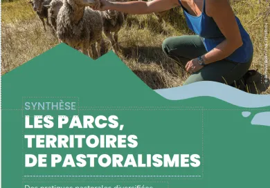 SYNTHESE - Les Parcs, territoires de Pastoralisme