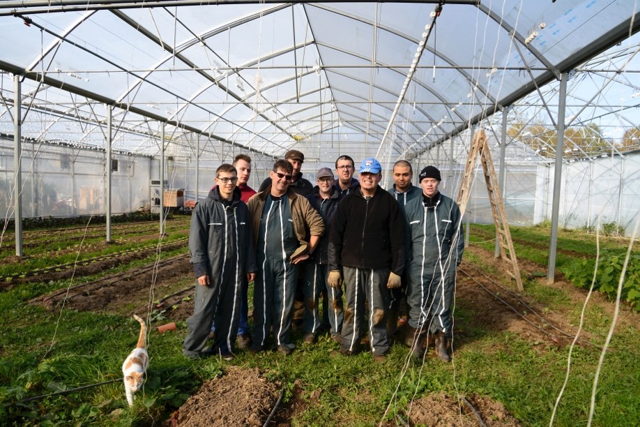 serre personnes légumes