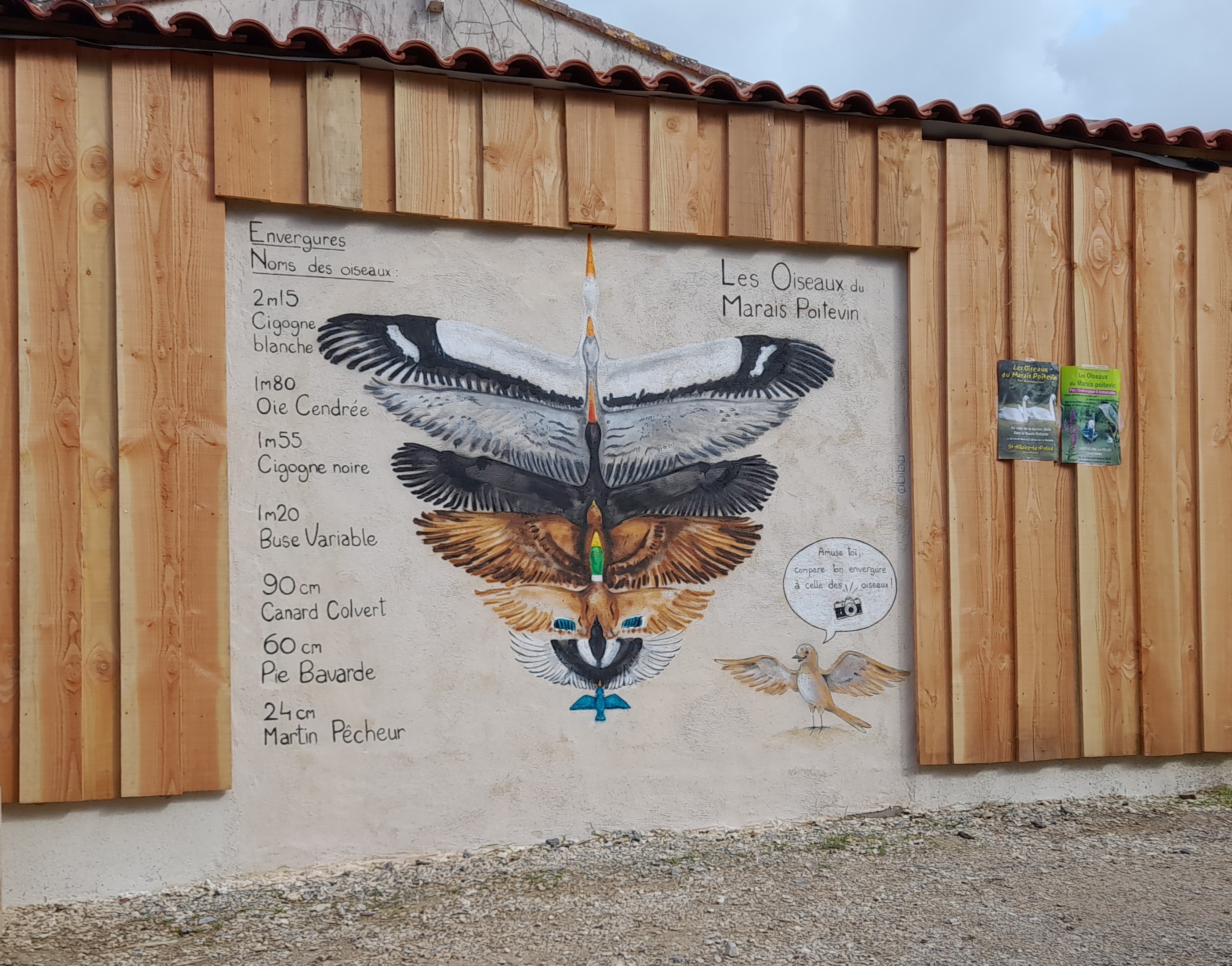 Toise au Parc des oiseaux du Marais poitevin