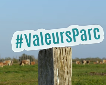 Vidéo la marque Valeurs Parc naturel régional dans le Marais poitevin