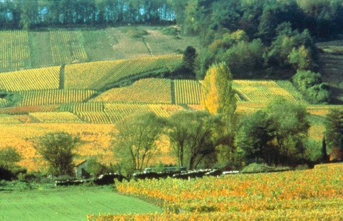 Parc Naturel Régional De La Montagne De Reims Fédération