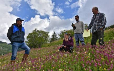 Passage du jury sur une parcelle agricole dans le parc du Queyras