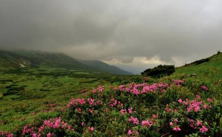 Ukrainian Carpathian Mountains