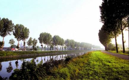 Le bord de l'Escaut à Bléharies, Parc naturel européen Plaines Scarpe-Escaut (PnEPSE) 