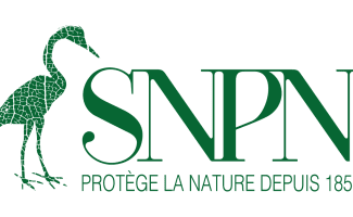 logo SNPN