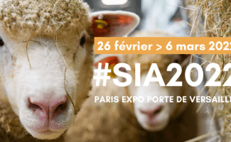 Bannière SIA 2022