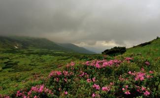 Ukrainian Carpathian Mountains