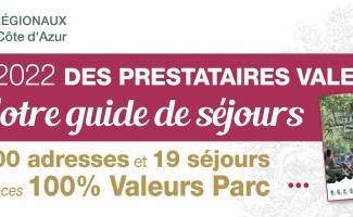Bandeau Annuaire PACA