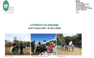 Photo, l'enfance du paysage