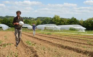 Maraicher en test agricole - PNR PERCHE
