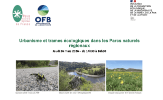 Photos urba et trames