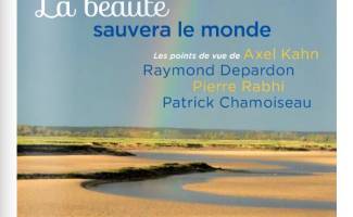 Couverture du magazine Kaizen n°20