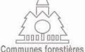 Logo fncofor