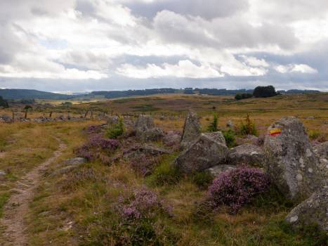 sur le Tour des monts d'Aubrac