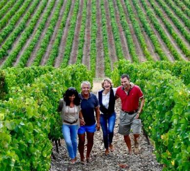 Vigneron Haut-Languedoc