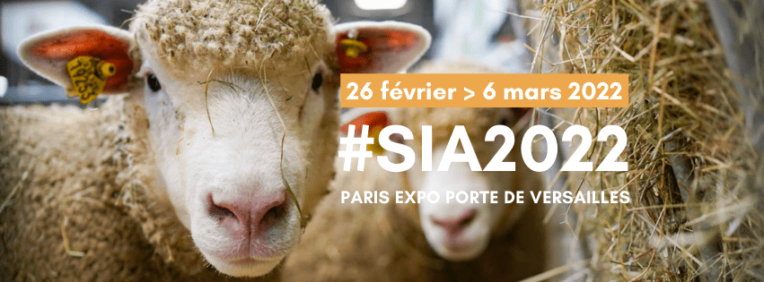 Bannière SIA 2022