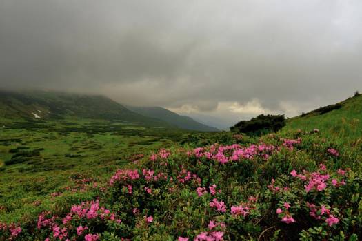 Ukrainian Carpathian Mountains