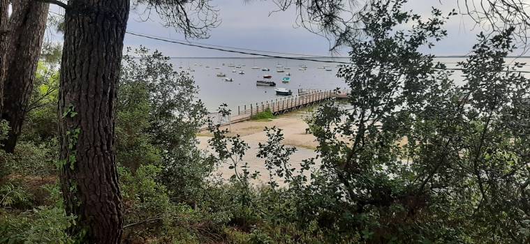 Vue sur le lac - Maubuisson