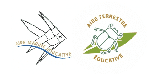 Logos aires marine et terrestre éducatives