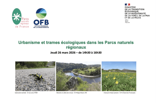 Photos urba et trames