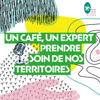 Podcast Un café, un expert