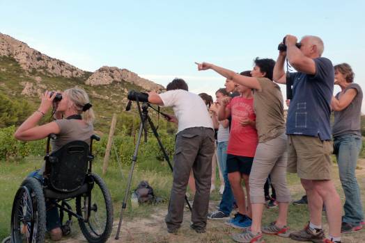 Bureau des guides naturalistes - visite dans les Alpilles 2