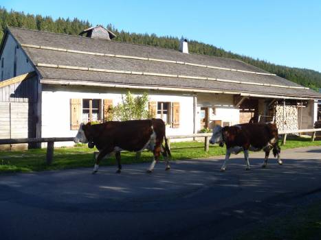 En été ©Ecomusée Maison Michaud