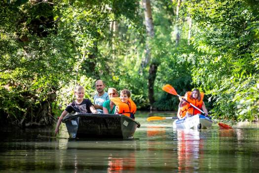 Promenade en barque dans le Marais poitevin