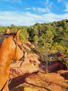 Provence Hipposervice