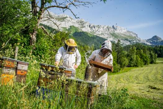 La Miellerie du Vercors, Cyril et Emilie à l'oeuvre