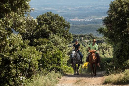 © Olivier Octobre - Pnr Haut-Languedoc