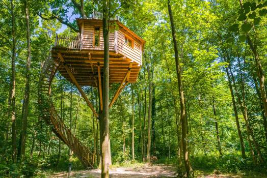 Cabane perchée
