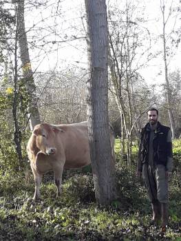 Christophe et ses vaches au coeur de la Venise Verte