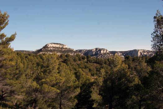  Entre Luberon et Alpilles : initiation et formation à l’ornithologie - escursia