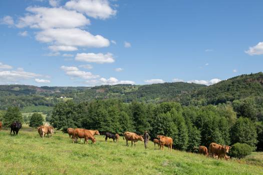 Ferme du Breuillet Corravillers © Benoit Facchi / PNRBV