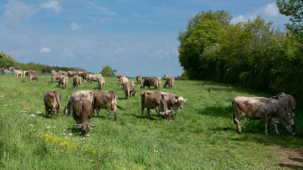 © Karine GAMBART SPIRKEL / Parc naturel régional du Morvan