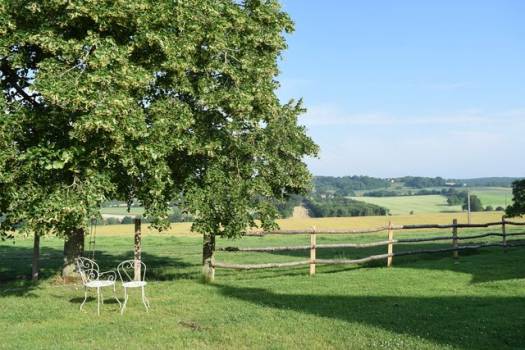 Gîte de La Houssardière-Vue sur les verts pâturages