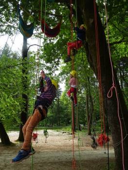 Grimpe d'arbres, une activité accessible à tous