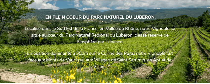 Vignoble Chateau Saint Pons