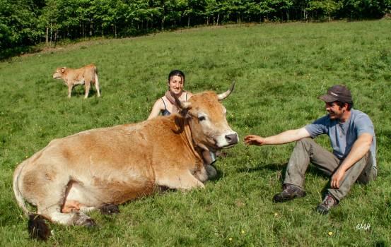 © Montagne Haut-Languedoc - Ferme de Besses