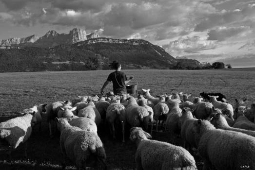 L'Etable et la Bergerie des Terraux