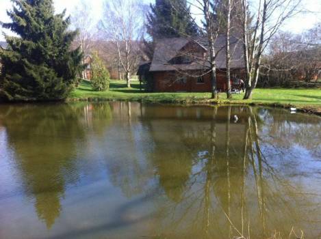 chalet de pêche en pleine nature