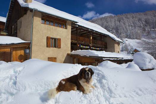 Chalet viso - en hiver