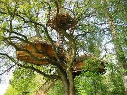 Les 2 cabanes du chêne fou et leur terrasse culminant à 14m de haut !