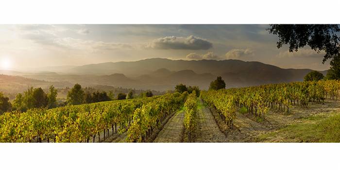 Les Coteaux de Grambois PNR Luberon