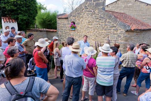 Animation du patrimoine à Doué-en-Anjou©PNR Loire-Anjou-Touraine