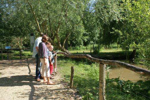 Balade au Parc ornithologique les Oiseaux du Marais poitevin