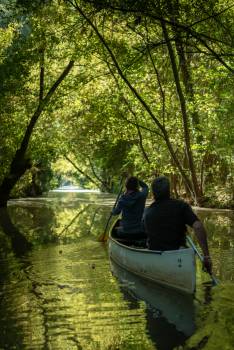 Promenade en canoë dans le Marais poitevin