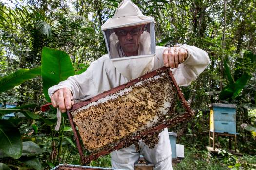 GAUCHER Bruno, APICULTURE