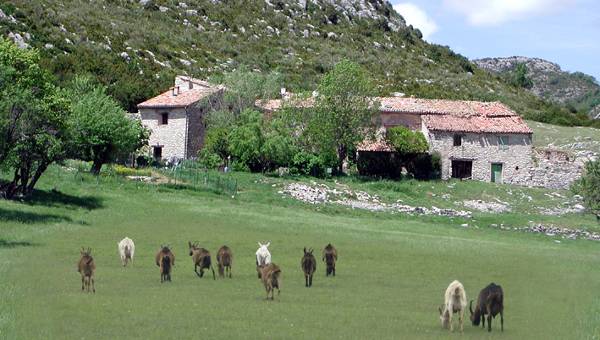 La Commanderie Saint Maymes